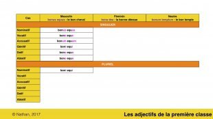 Les adjectifs de la première classe
